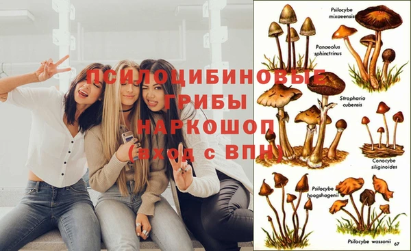скорость Лихославль